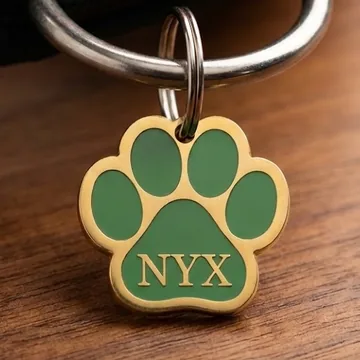 Detalhe da tag de patinha verde e dourada com o nome NYX gravado